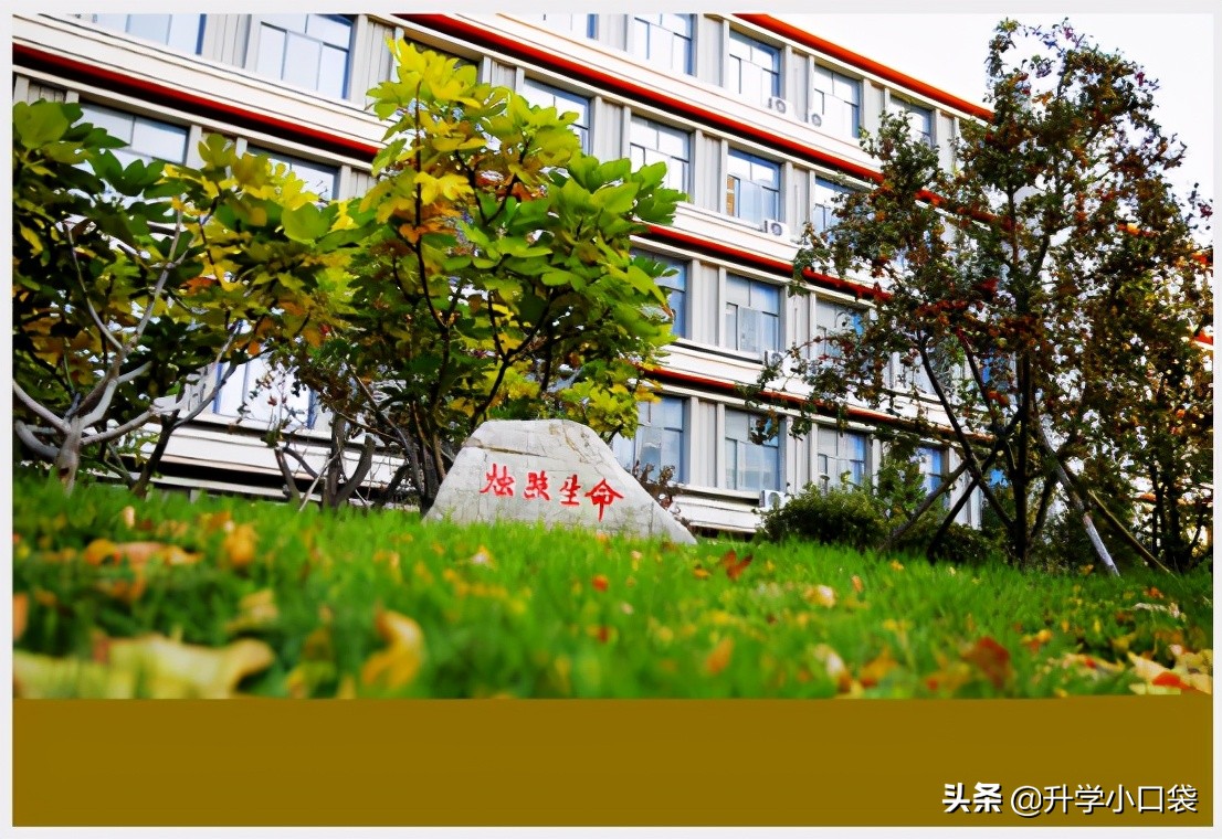 全国化学奥赛山东省一等奖,山东省高中化学竞赛奖项