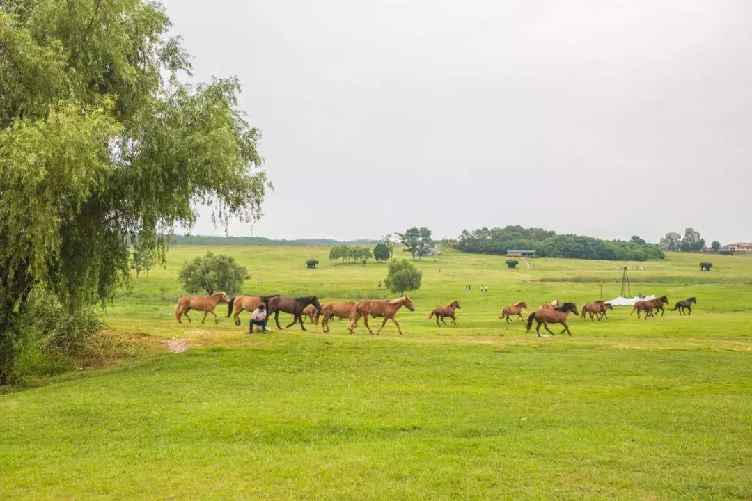 10月的武汉，有20个好消息请各位武汉人查收