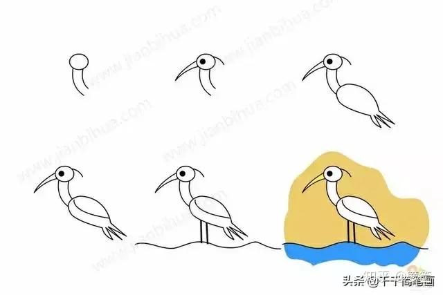 画小动物简笔画简单又漂亮,春天里的小动物怎么画简笔画