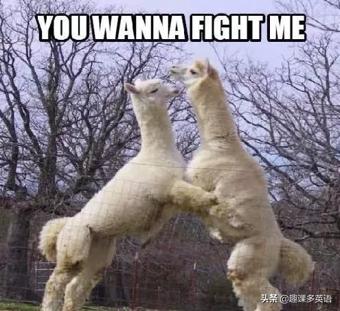 加油英文是fighting的吗,加油的英文是goon还是comeon呢