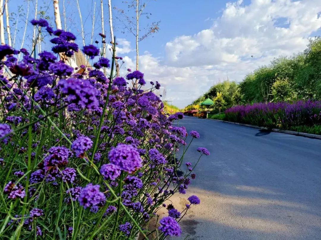 阿克苏在新疆的经济排名,阿克苏最强的县