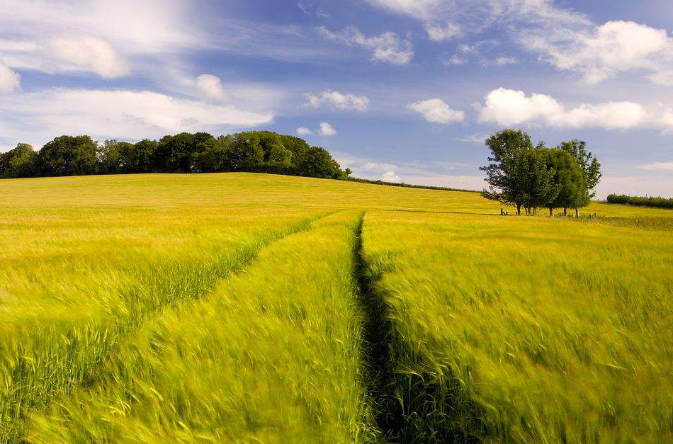 说文解字第339讲,说文解字第143课全集