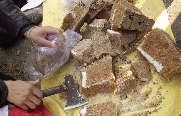 鉴别蜂蜜纯不纯的方法很实用哦,用白酒鉴别真假蜂蜜的方法视频