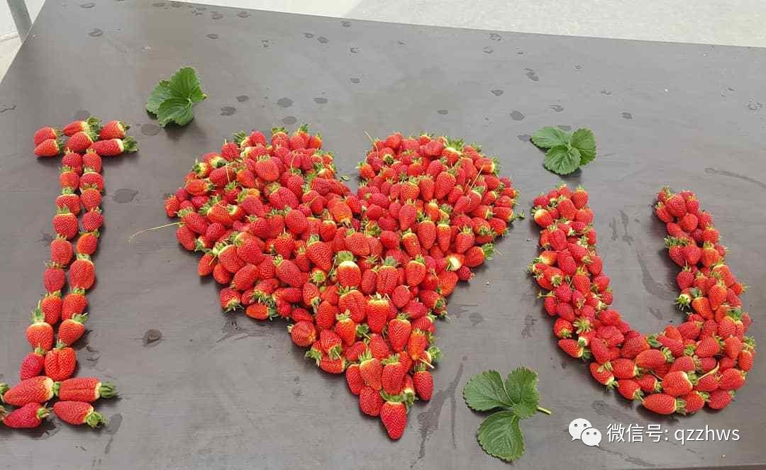 新型草莓立体温室大棚大全,温室大棚立体种植草莓