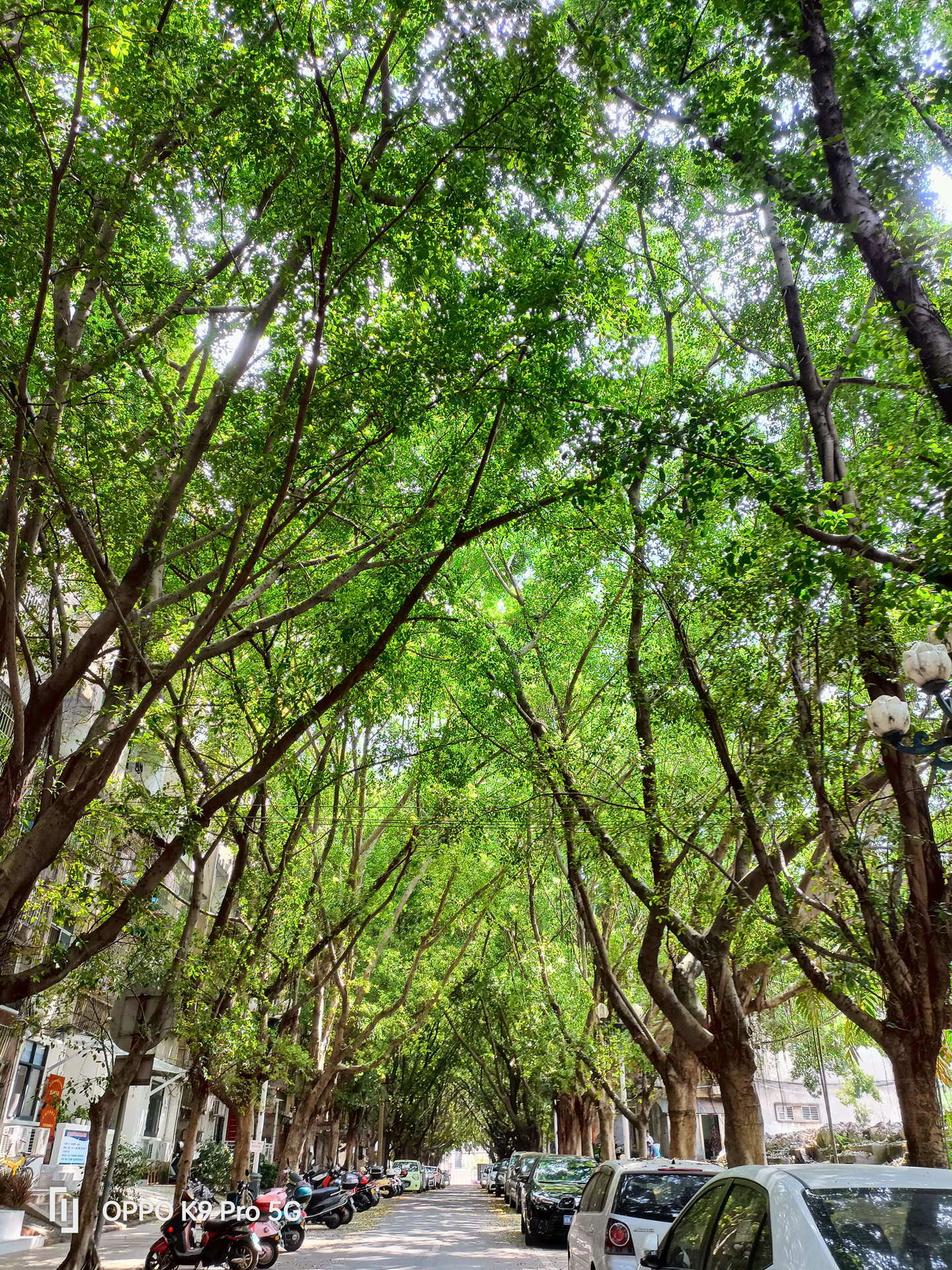 oppok9pro最新评测,oppok9pro测评最新