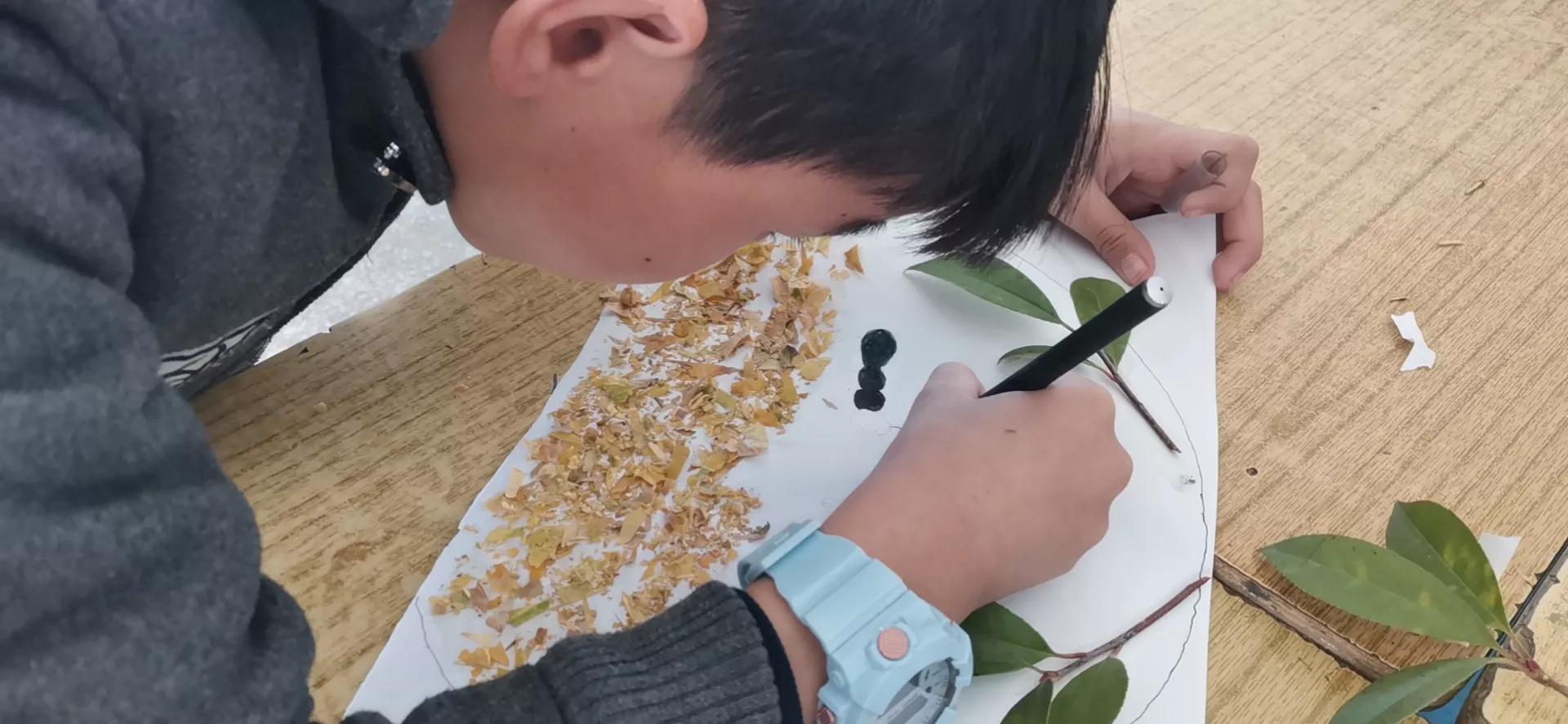 寺湾二小德育花开，香满校园