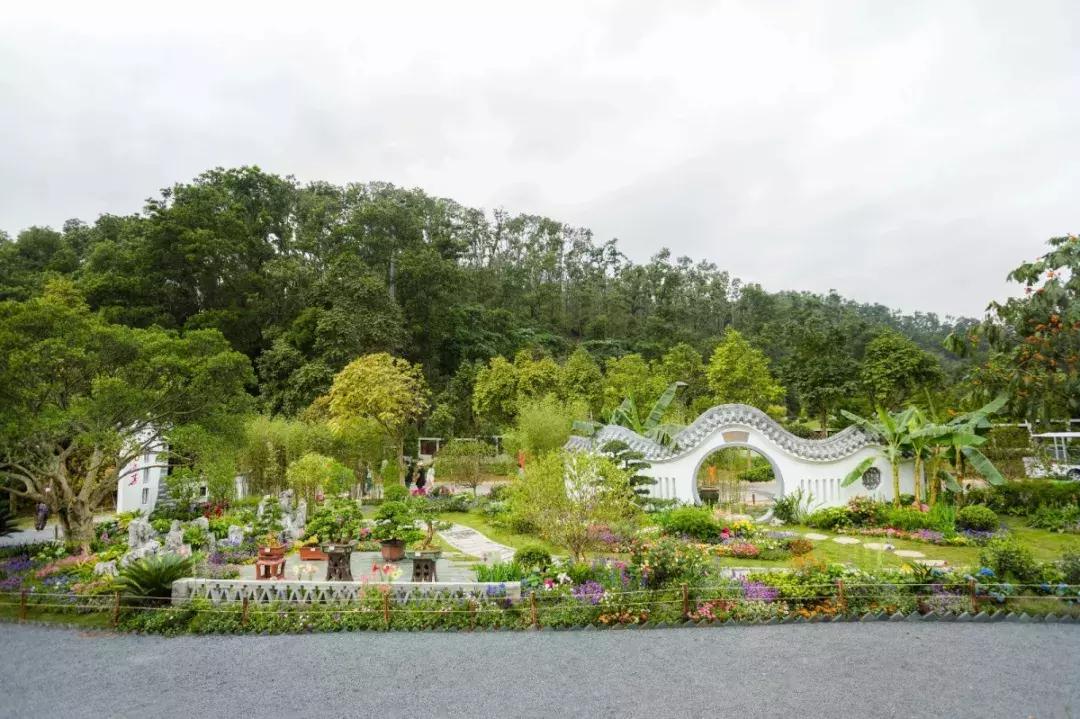 未来10天预警,深圳最最最最火的地方在这里,美女都赶来打卡