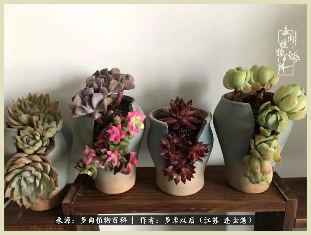 多去花前谈以后，少来月下忆当年