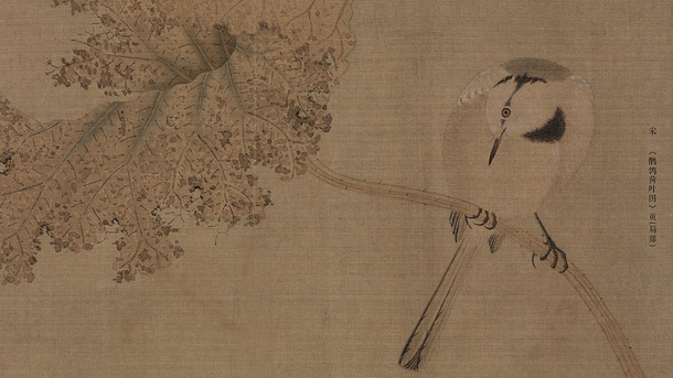 易经取名女孩起个欢快的名字,女宝宝怎么取又神秘又好听的名字