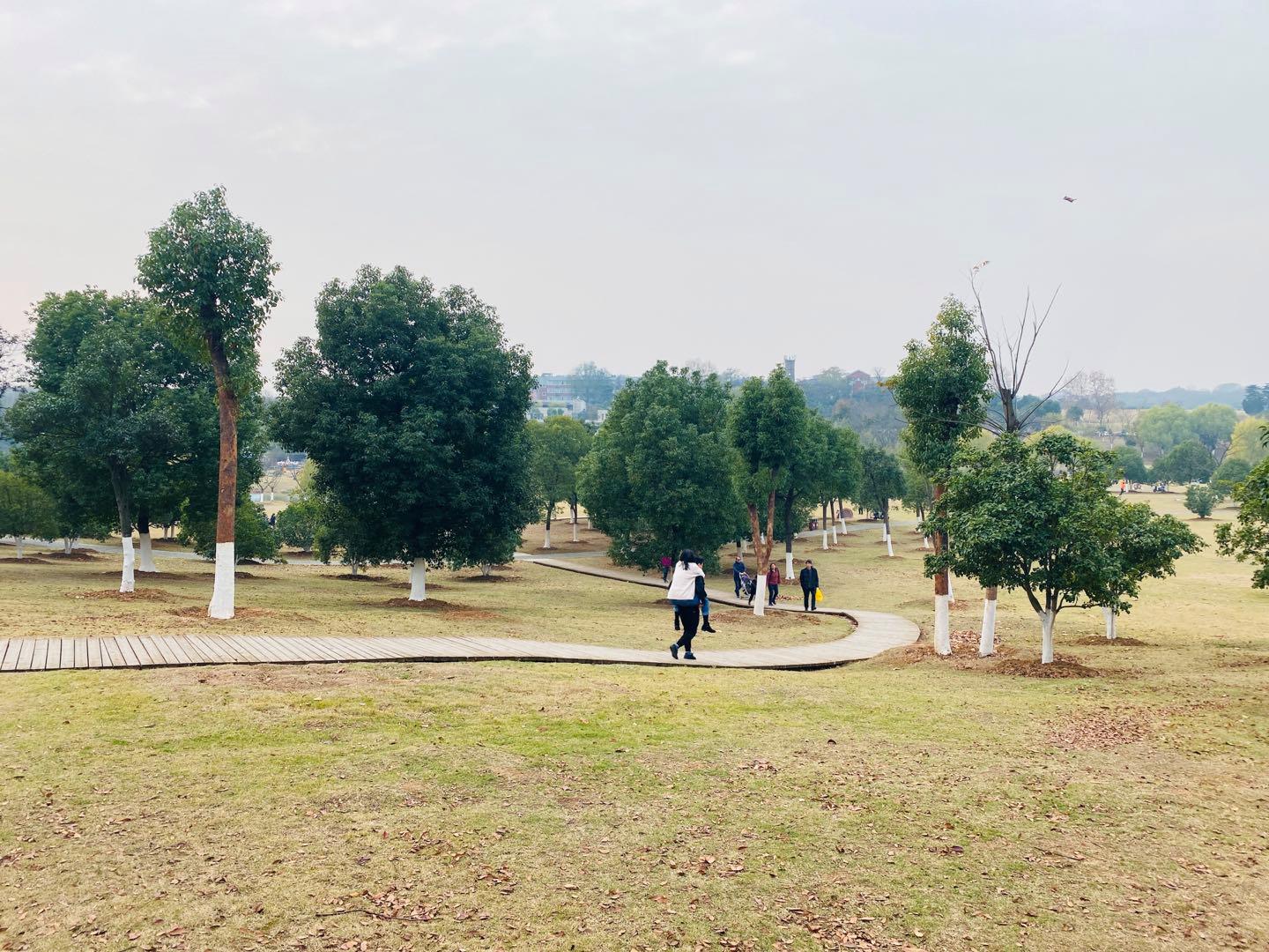 南京可以露营的公园,打卡南京旅游的景点