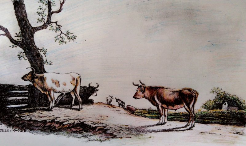 幸福原创画吧,幸福画吧画友作品展示