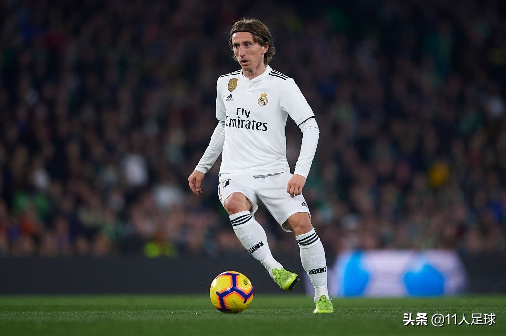 哈维被嘲讽,哈维对博格坎普的评价