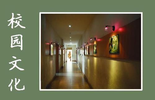 沙坪坝区前三的小学谁是老大？详细解析，数据对比给你看