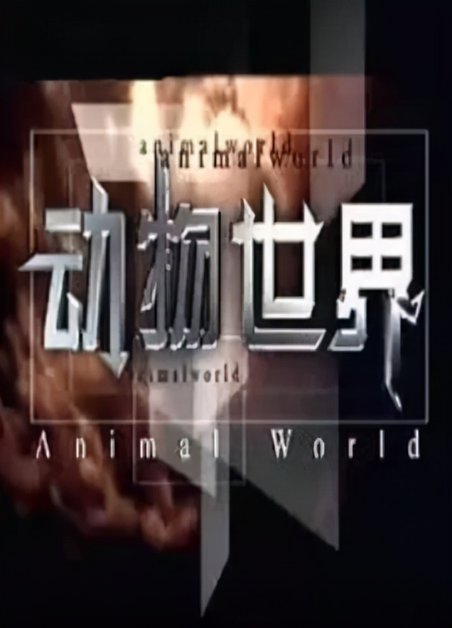 赵忠祥5亿家产留给谁,赵忠祥凭什么有五亿家产