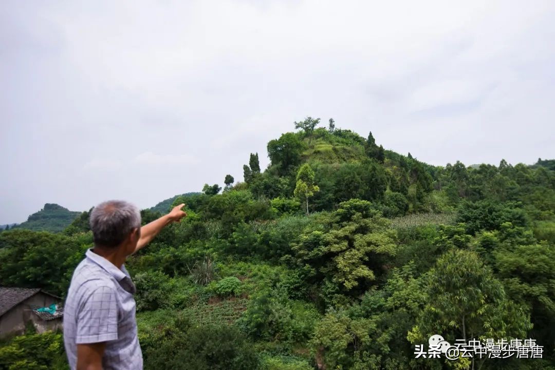 行走的风景岳池,行走的“风景”
