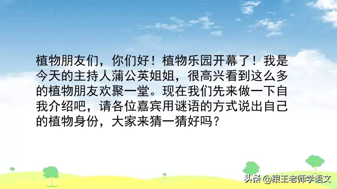 我的植物朋友竹子作文三年级300字,三年级下册我的植物朋友习作评语