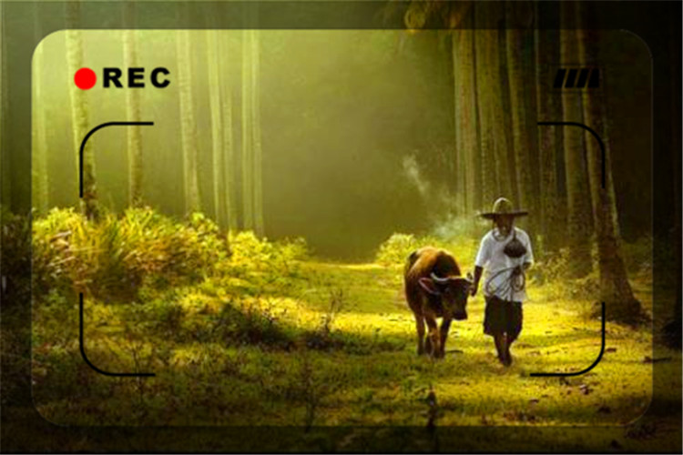 创业失败负债累累无路可走,创业失败了负债累累如何走出迷茫