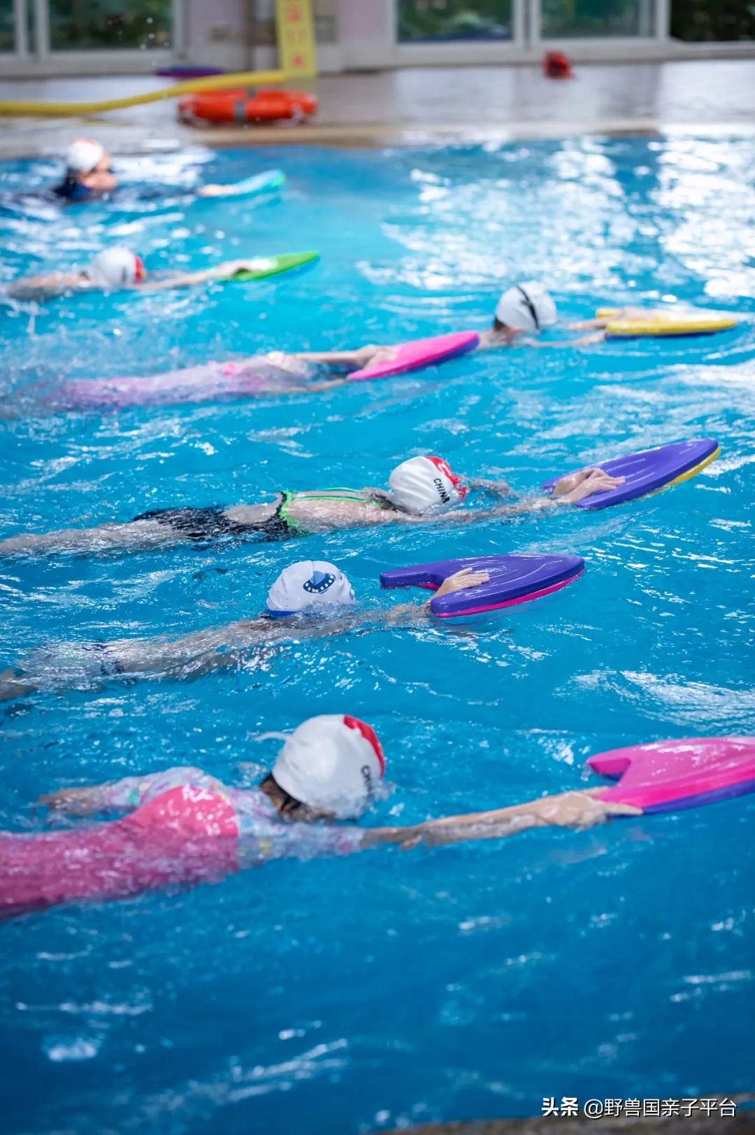 东莞儿童篮球培训机构哪个好,东莞儿童健身球哪家好