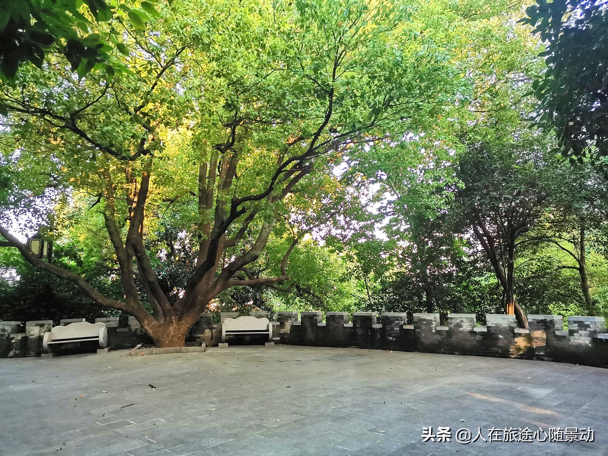 南京江宁一日游免费景点,南京江宁东山公园介绍