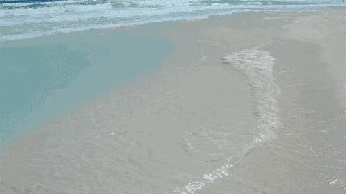 青岛开发区四中怎么样,青岛开发区四中上课时间表