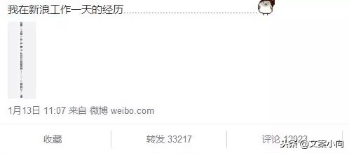 小熊猫广告软文,天才小熊猫的软文缺点