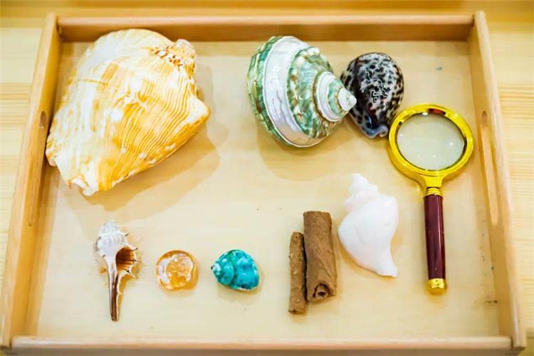 北京通州区蓝天国际儿童成长中心,北京通州区幼儿园推荐