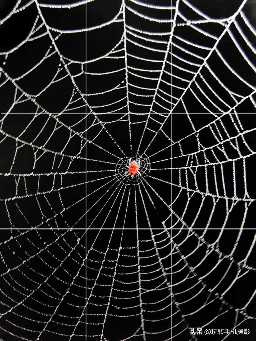 手机拍照功能应用技巧,手机拍照辅助神器