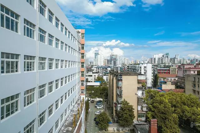 武汉市十大美丽中学,武汉十大美丽学校