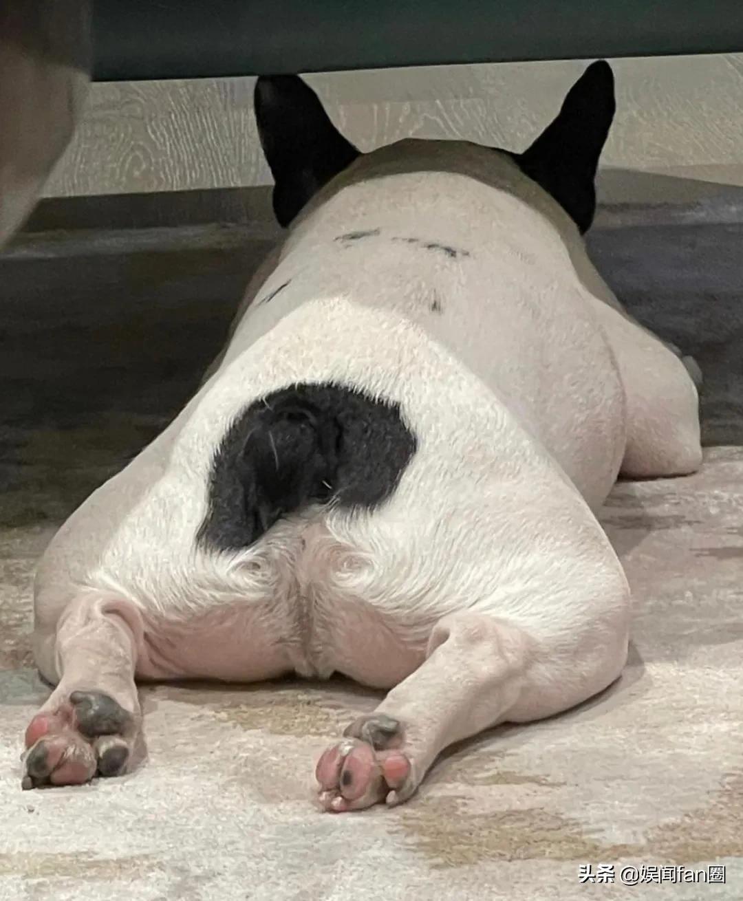 鹿晗关晓彤怎么认识的,热巴鹿晗什么时候认识