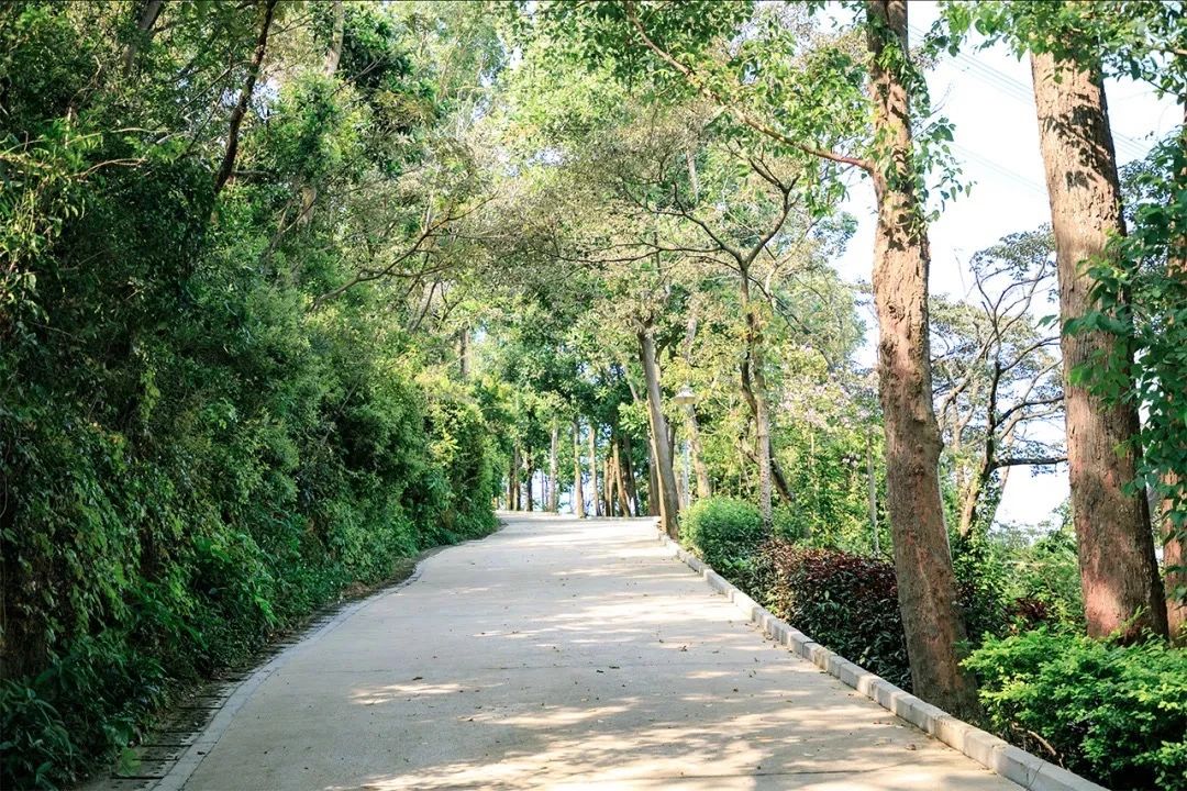 深圳看海去哪里比较好,深圳出地铁就看海的地方是哪里