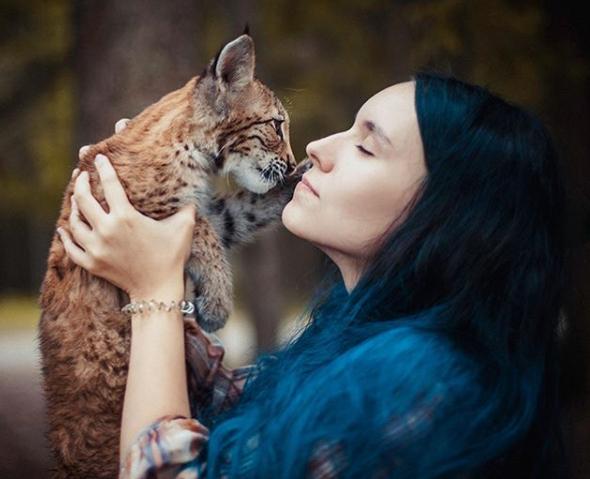 想养猫又怕被猫抓,俄罗斯养猞猁