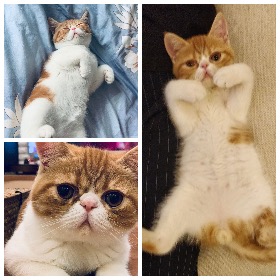 抑郁症复发（二）||犹如过山车般一波三折的病情，反反复复