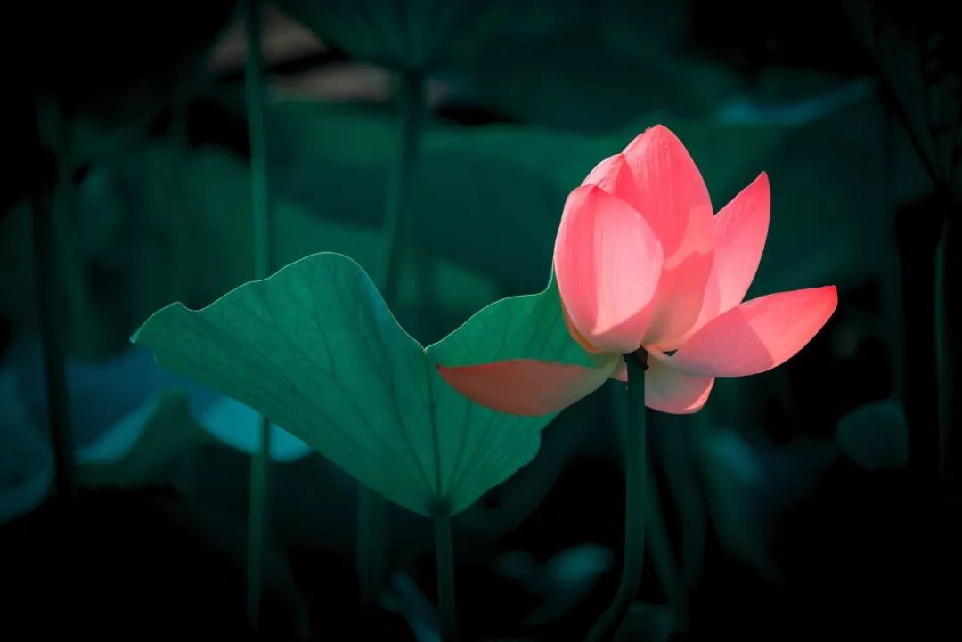 五月需要注意什么事项,五月有什么重要的事情