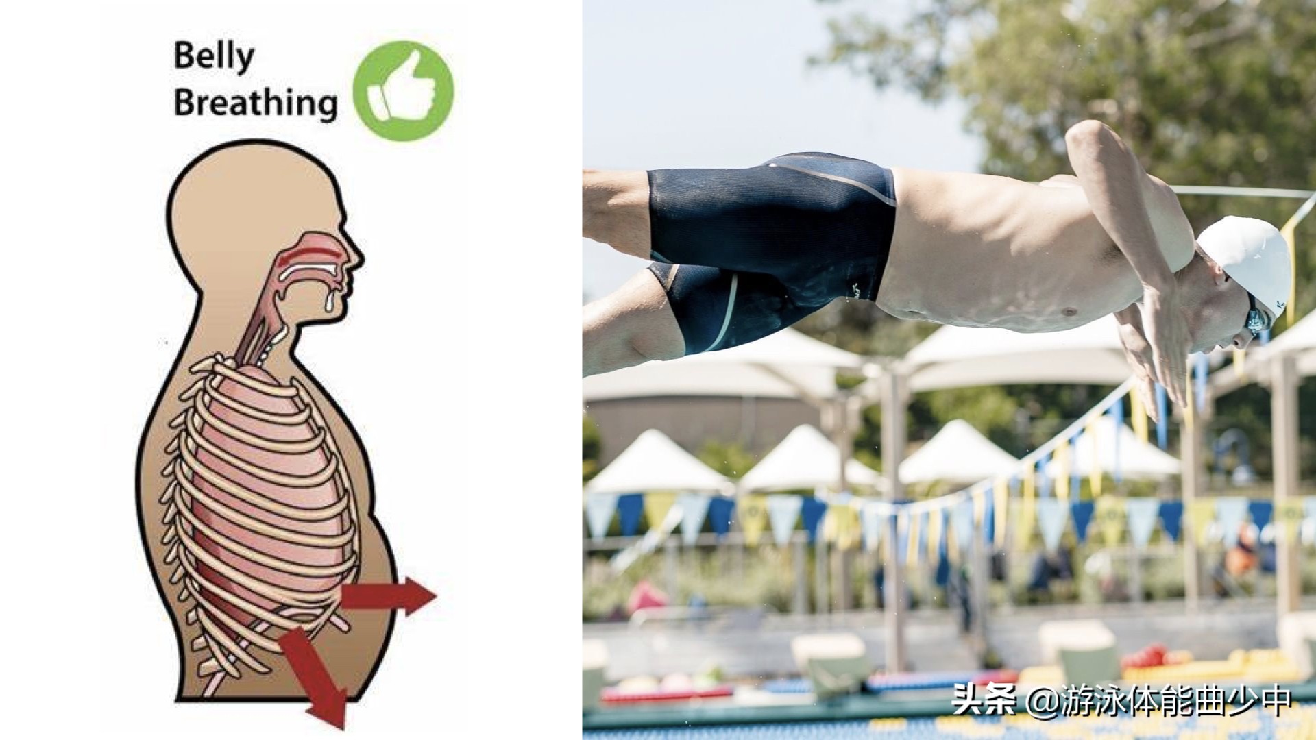 游泳时收紧核心具体应该怎么做？——“下拉”肋骨