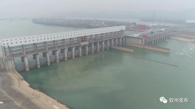 vr直播24小时,vr直播预告