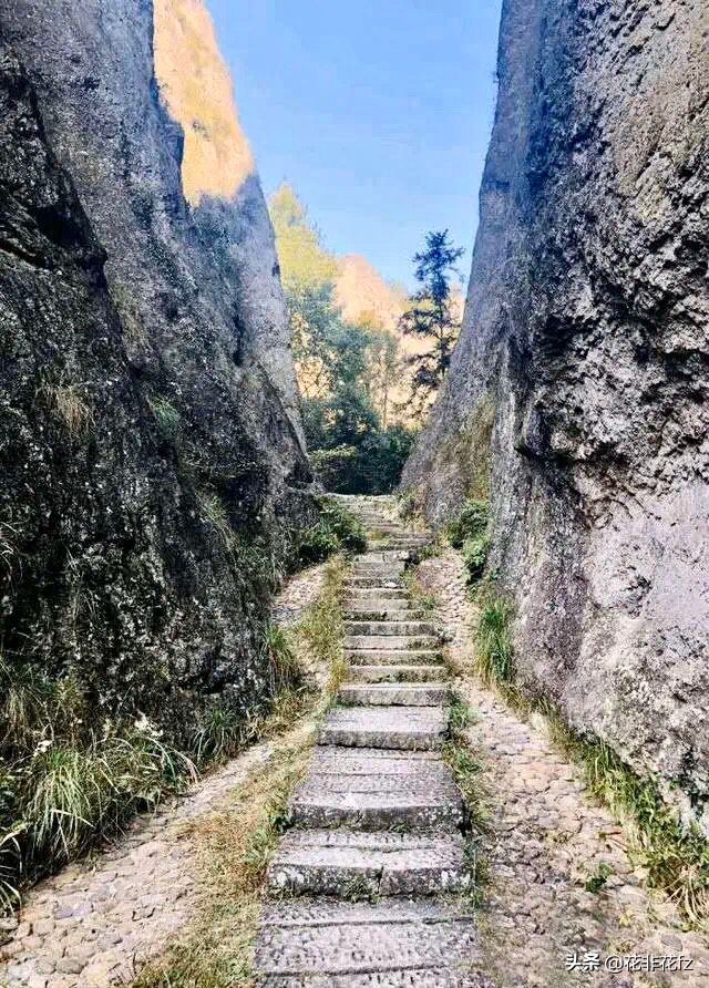 缙云桃花源,缙云的世外桃源