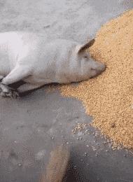 去按脚碰到前女友，怎么化解尴尬