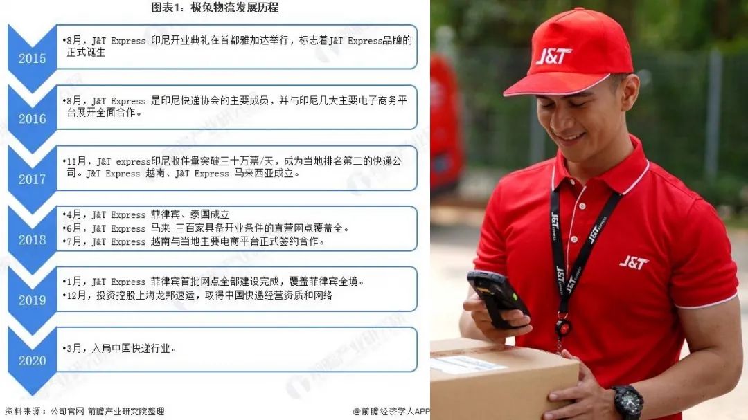 疯狂的兔子被撞,疯狂的兔子被小鸡啄