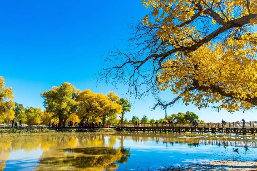 每一次自驾都是一次洗礼,用一场自驾游拓展生命的宽度