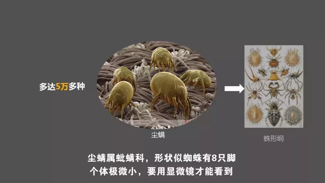 脸部吸螨虫神器真的有效果吗,脸部怎么除螨喷雾好用