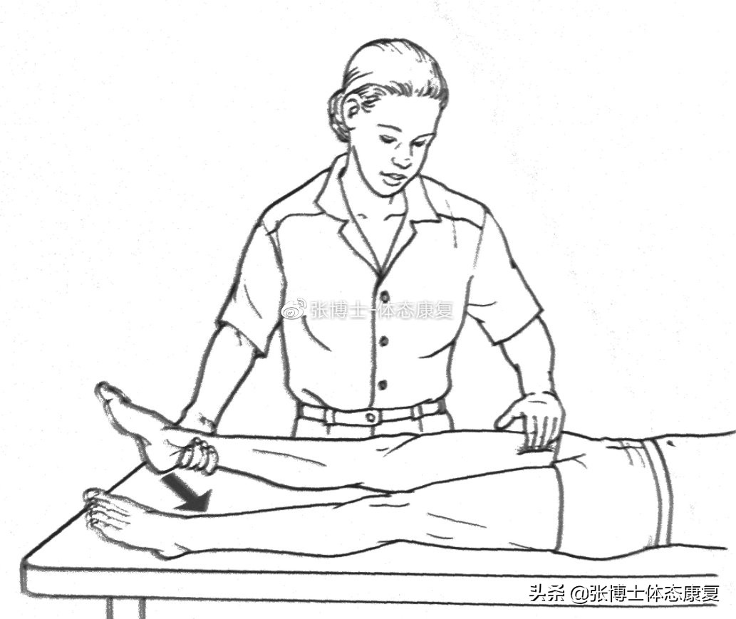 「译文分享」人体侧向子系统与单腿运动的稳定性
