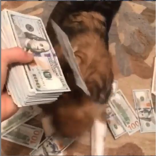 国外富二代圣诞集体炫富：私人飞机只是入门水平，奢侈品堆满全身