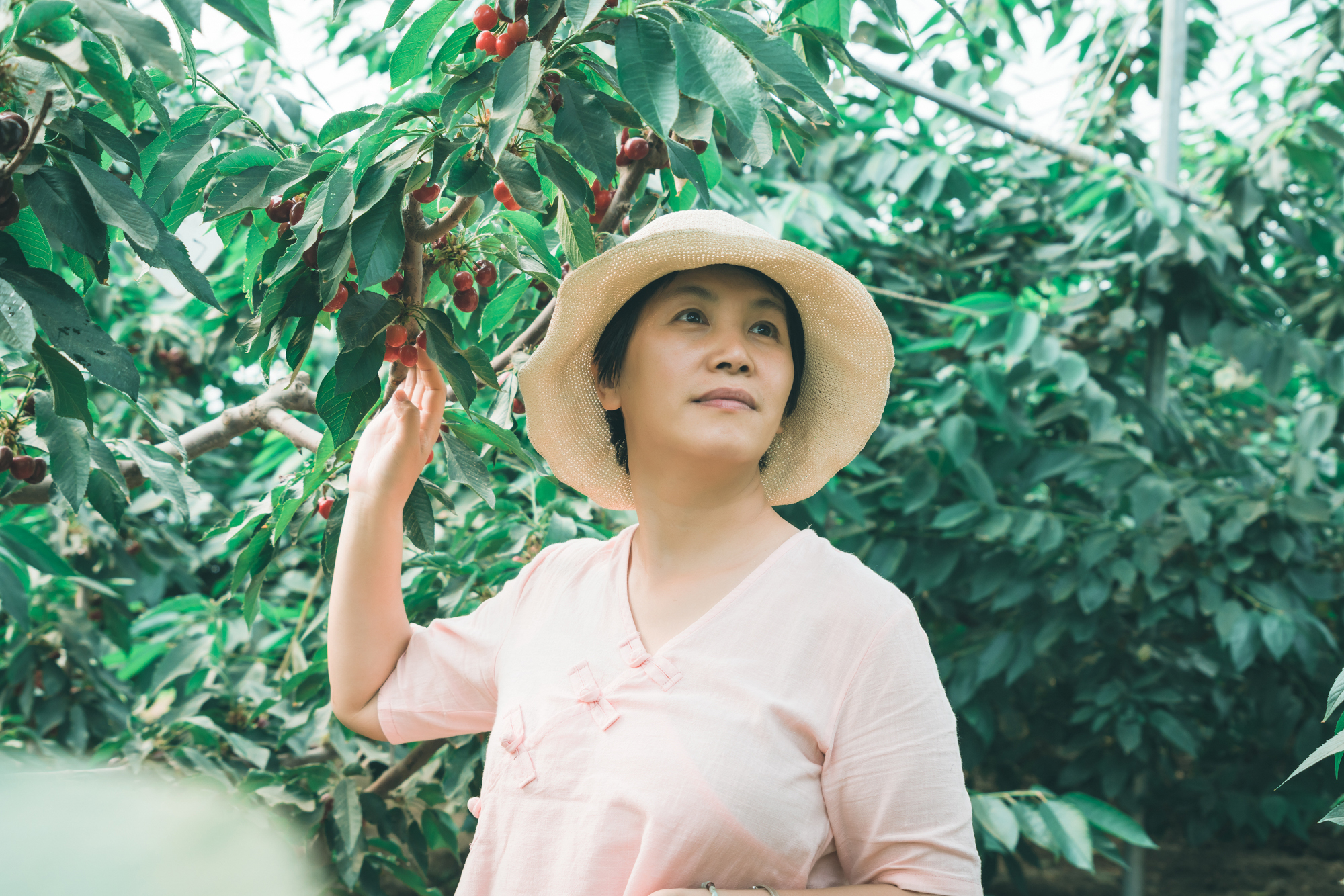 孔雀城温泉,孔雀城温泉公园