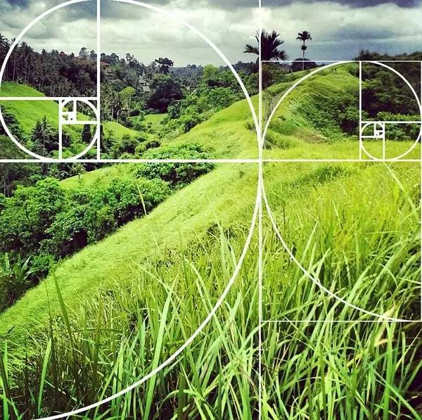 手机拍照入门教程从零开始学摄影,手机人像摄影教程从零开始学摄影