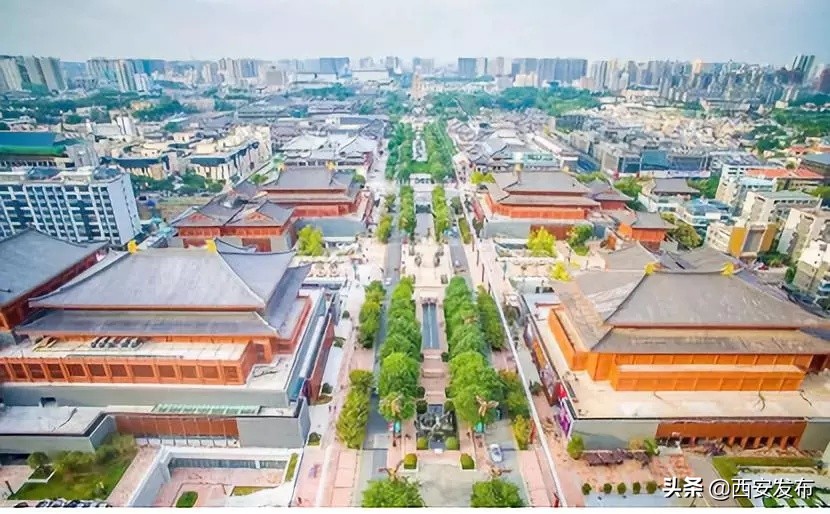 话题阅读量最多,话题阅读量破50