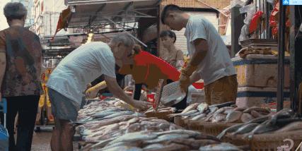 去厦门吹海风,来去厦门观光享受清凉的海风