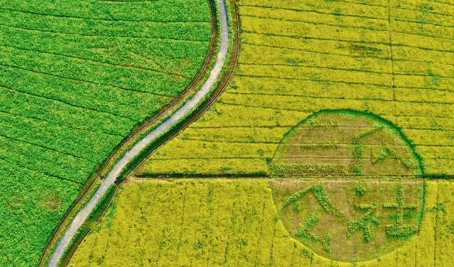 合肥春节免费景点一览表,合肥网红免费打卡景点