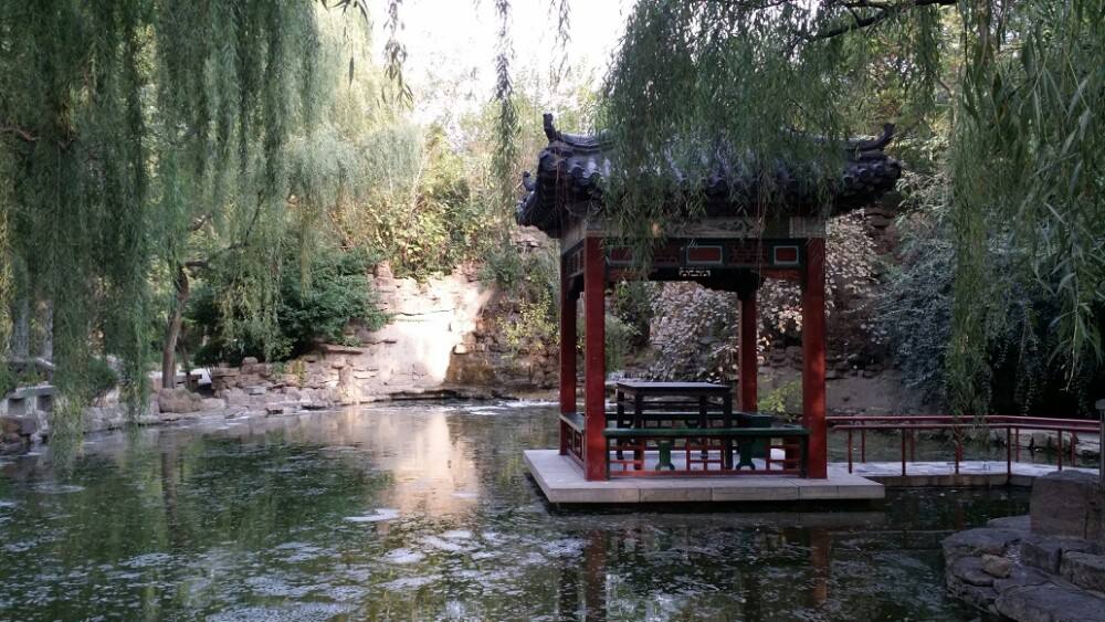 山东有哪些名小吃,山东淄博地区名吃