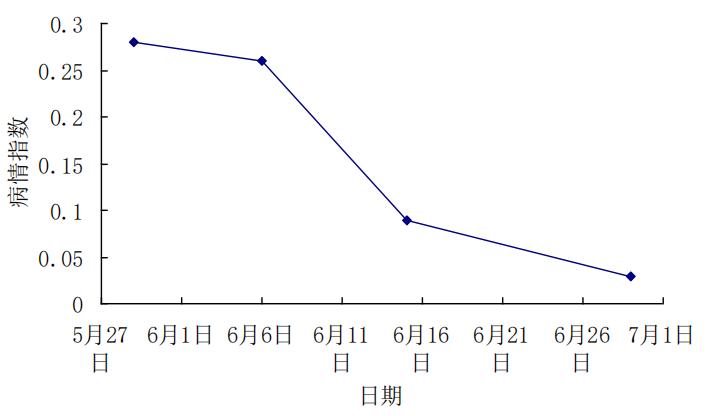 很多文章没提到,中药治理蜂病的施药细节,和人喝的方式不同