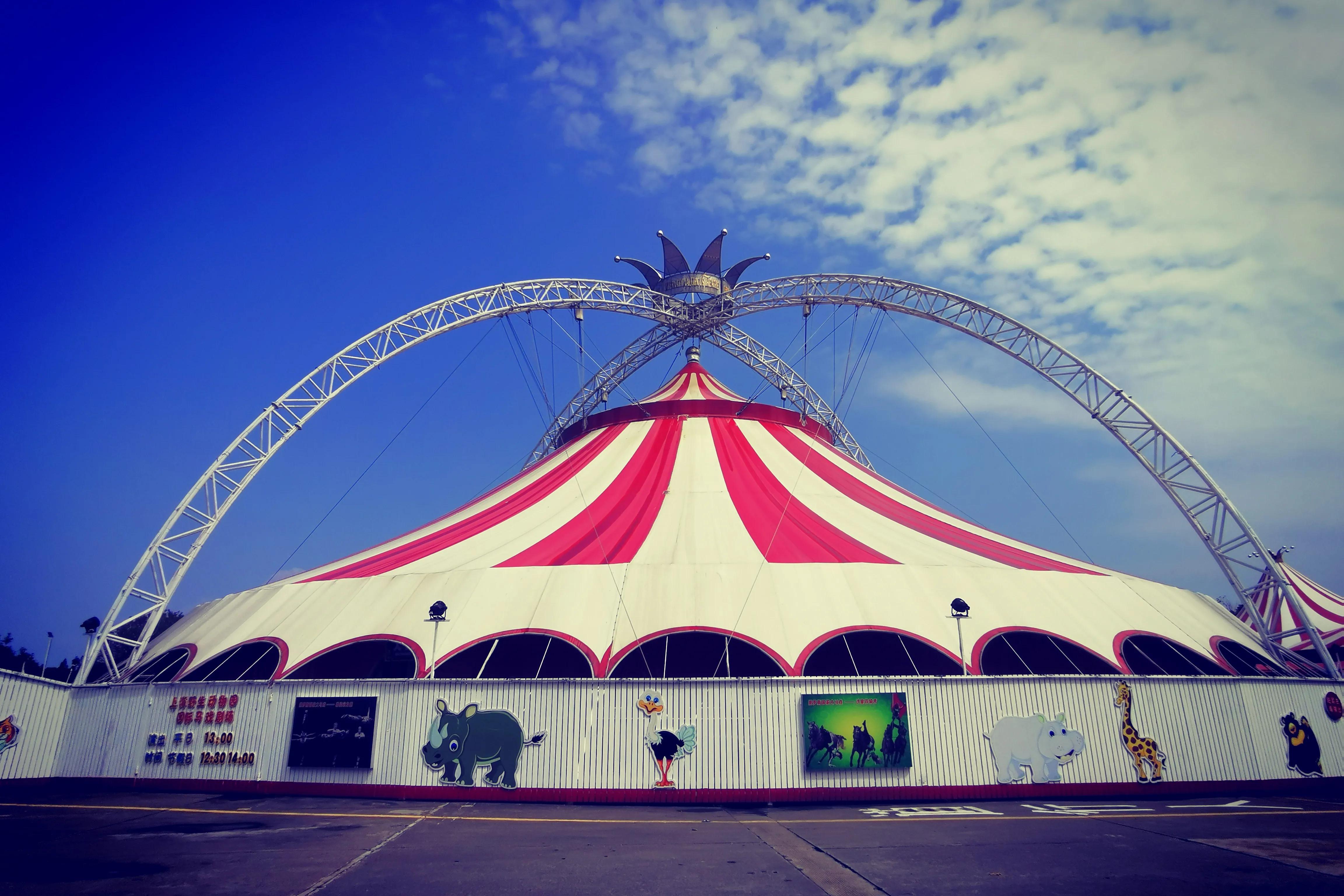 上海野生动物园真的值得去吗,上海野生动物园好玩吗值得去吗